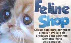 Feline Shop- Uma loja para gatinhos!